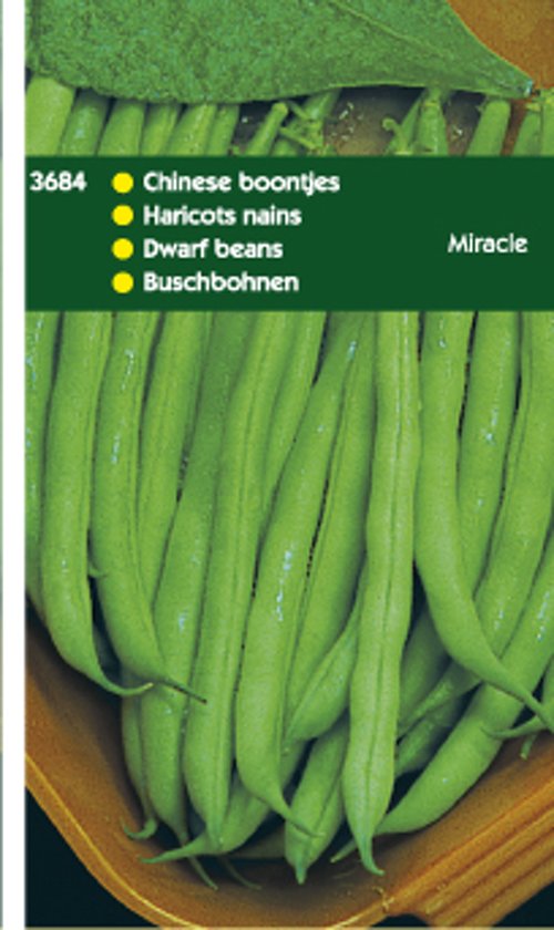 Dwarf beans Miracle (Phaseolus) 100 gram 500 seeds
